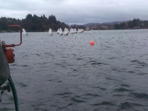 Resultater Sandringham Cup 2013