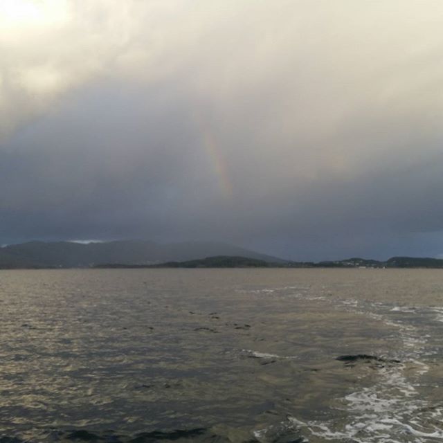 Morgenstemning fra banen