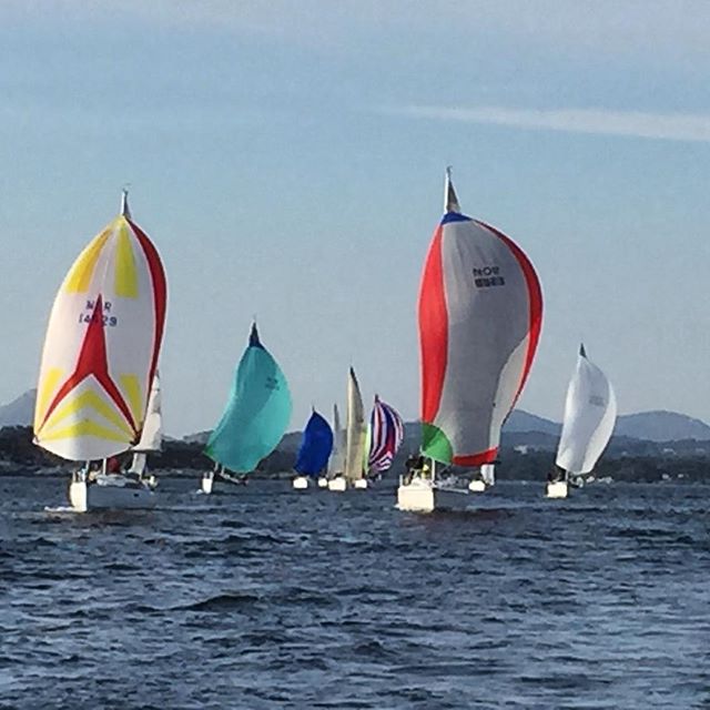 Beautiful day for sailing - perfect wind, perfect company ️😎
