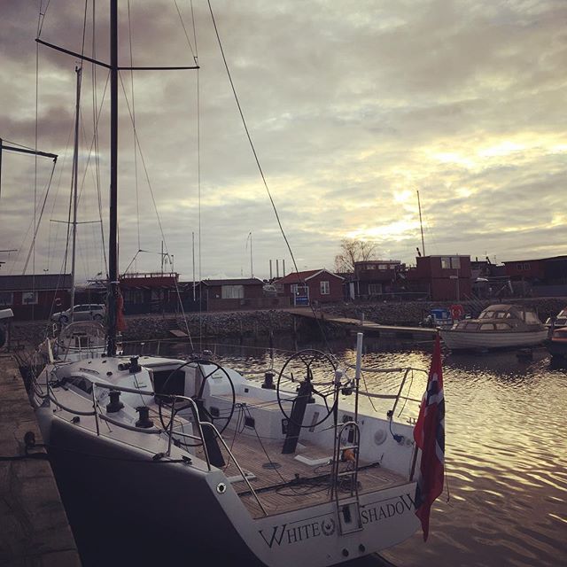 Mast stepped. Getting ready for racing on Saturday