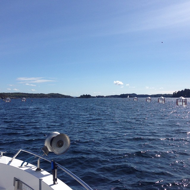 Noen, trolig Havforskningen, har lagt ut noen merkelige installasjoner vest av Eggholmene. Les seilingsbestemmelsene for Serieseilasene i forhold til begrensninger.