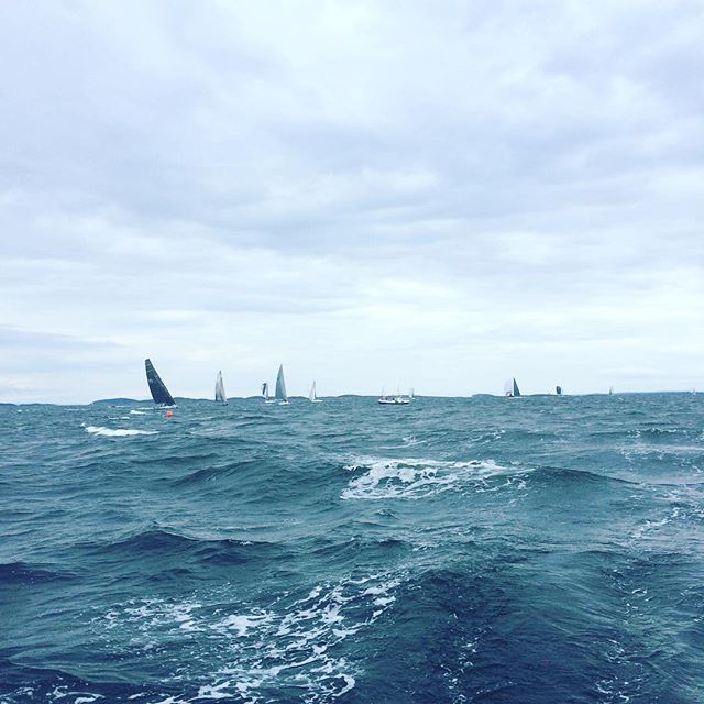 White Shadow med Line Honorl i Race 1 NM ORCi