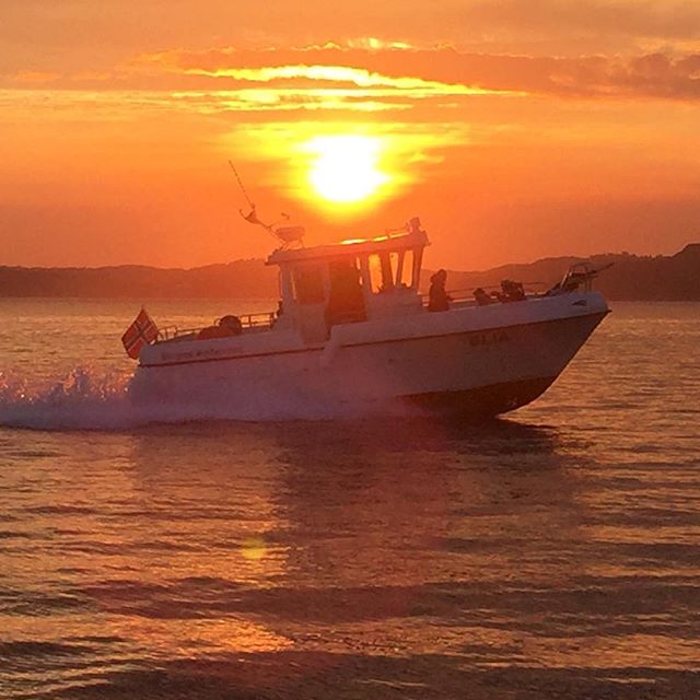 Blia i solnedgang på tirsdagsregatta 13/9-16