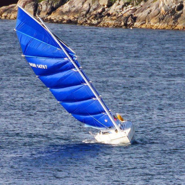 Regatta. ️️️