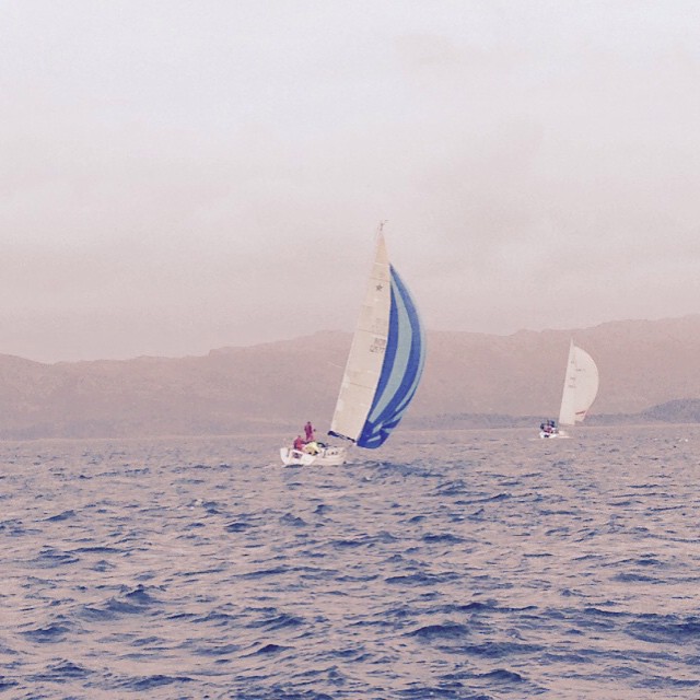 Velella III i fint driv mot mål på Serieseilasen 12.5.15
