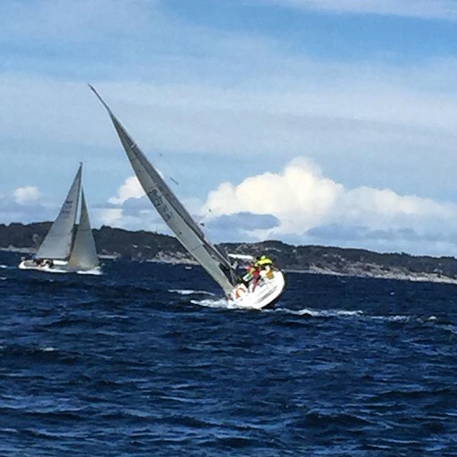 Windy sailing regatta today ...